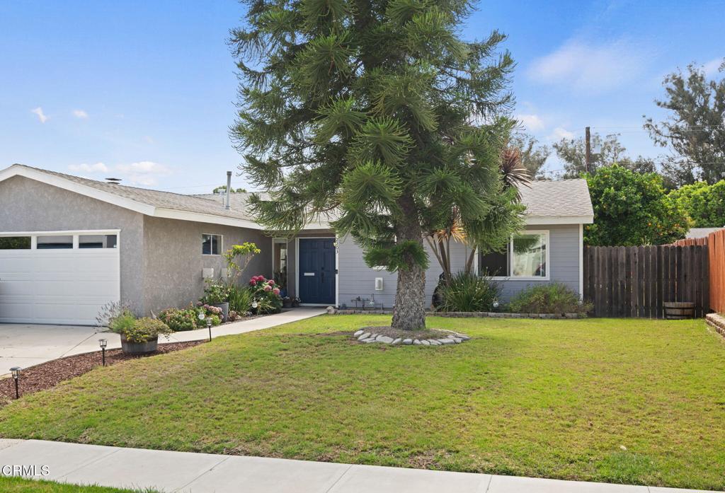 Welcome to 2203 Fawn Place, ideally nestled at the end of a quiet cul-de-sac in a prime pocket between Montalvo Heights and Ventura's East End. This single-level home sits on an expansive lot with a spacious backyard featuring a stone patio perfect for entertaining, a large shed for extra storage, and mature apple and orange trees that lend both charm and shade.Inside, you're greeted by double-door entry, a cozy fireplace, and a smart open-concept layout that still maintains distinct living spaces. Thoughtful accent wall details add personality, while luxury vinyl plank flooring runs throughout the home--offering both durability and modern style. With ample room to create RV parking or reimagine the outdoor space, this property offers flexibility and potential. Enjoy easy access to parks, shopping, top-rated schools, and commuter routes--plus nearby amenities like a community water park, aquatic center, sports fields, and scenic walking and hiking trails.This is Ventura living with room to grow--don't miss it.