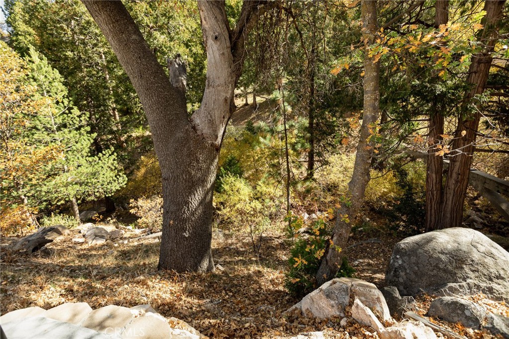 1285 N State Highway 173