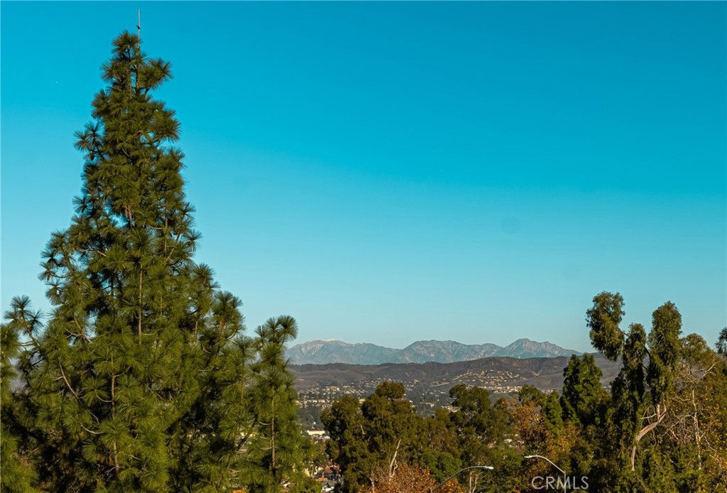 Anaheim Foothills - Residential