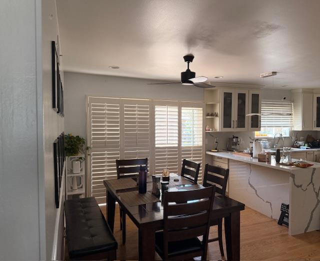 5454 Blossom Dale Drive