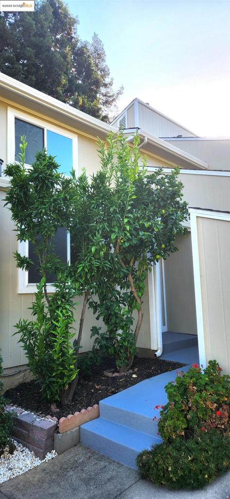 CASTRO VALLEY - Residential