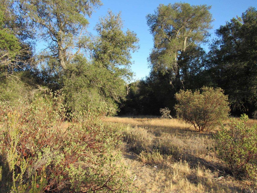 153.21 ACRES Old 80 and Hwy 94