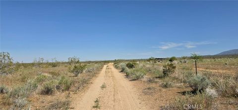 Photo of 0 175th St E W14, Llano, CA 93591 (MLS # SR26084991)
