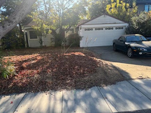 Photo of 343 Maclane Street, Palo Alto, CA 94306 (MLS # ML82064819)