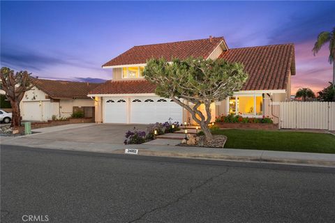 24852 Costeau Street Laguna Hills CA 92653