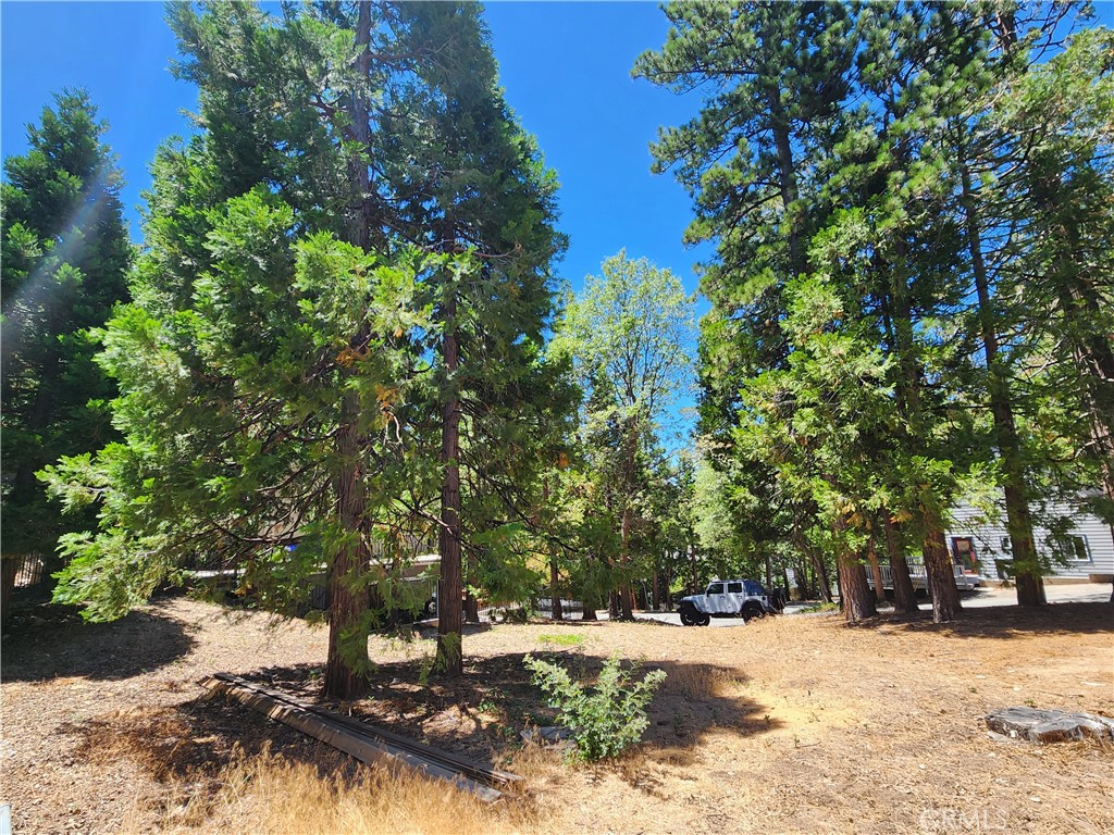 Arrowhead Woods (AWHW) - Land