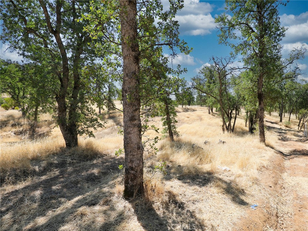 Tucked away at the end of a quiet neighborhood, this 0.12-acre vacant lot offers the perfect blend of privacy and natural beauty. With a stunning valley backdrop and the peaceful atmosphere of Clearlake, this property is ideal for building your dream home, a weekend getaway, or an investment project.
The usable terrain makes for an easier build, while nearby utilities (buyer to verify) add to the convenience. You’ll be just minutes from the lake, shopping, dining, and outdoor recreation, yet feel a world away from the hustle and bustle. Wake up to crisp morning air, enjoy tranquil sunsets over the valley, and embrace the charm of small-town living surrounded by Northern California’s natural landscapes.