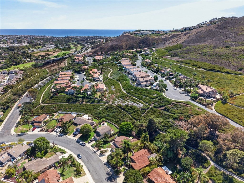 1325 Altura, San Clemente CA 92673 - Photo 49