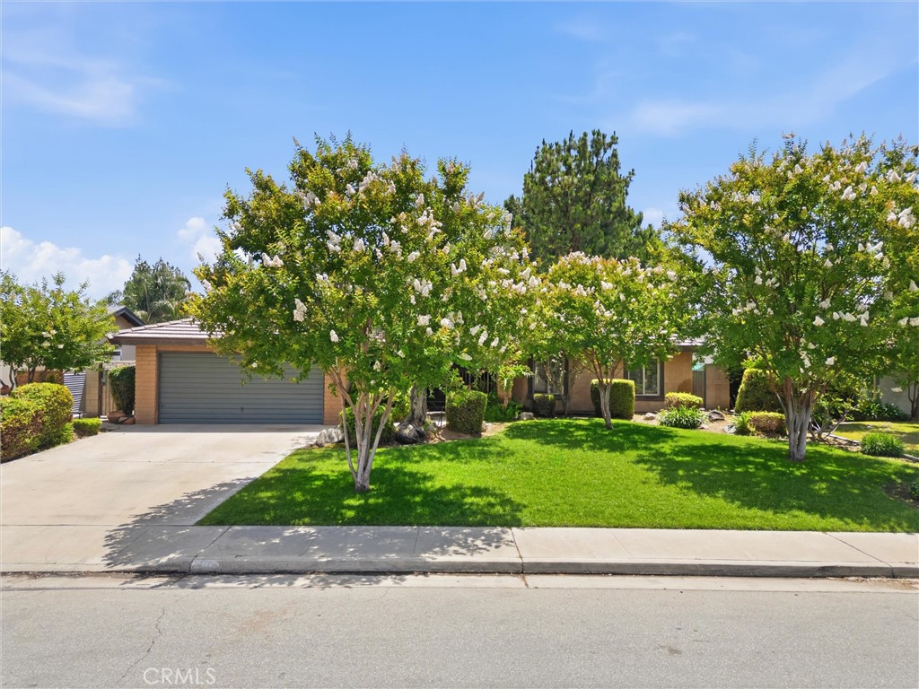 704 Winchester Street