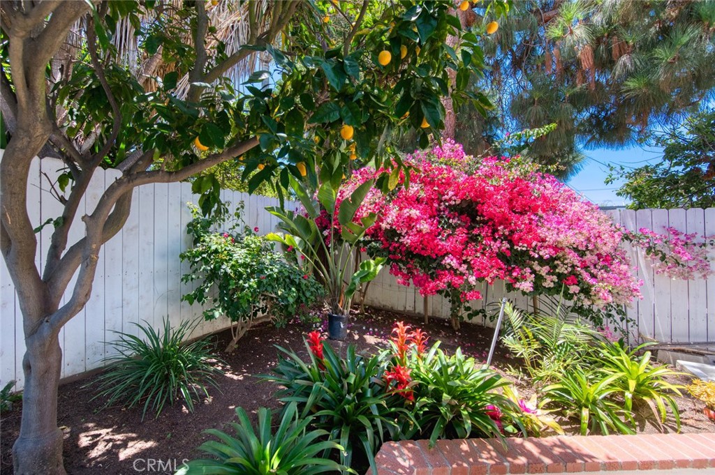 327 Santa Isabel, Newport Beach CA 92660 - Photo 25