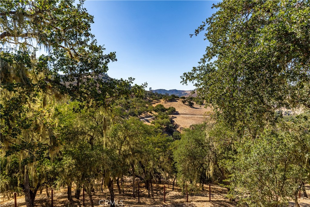 PR Lake Nacimiento(230) - Residential
