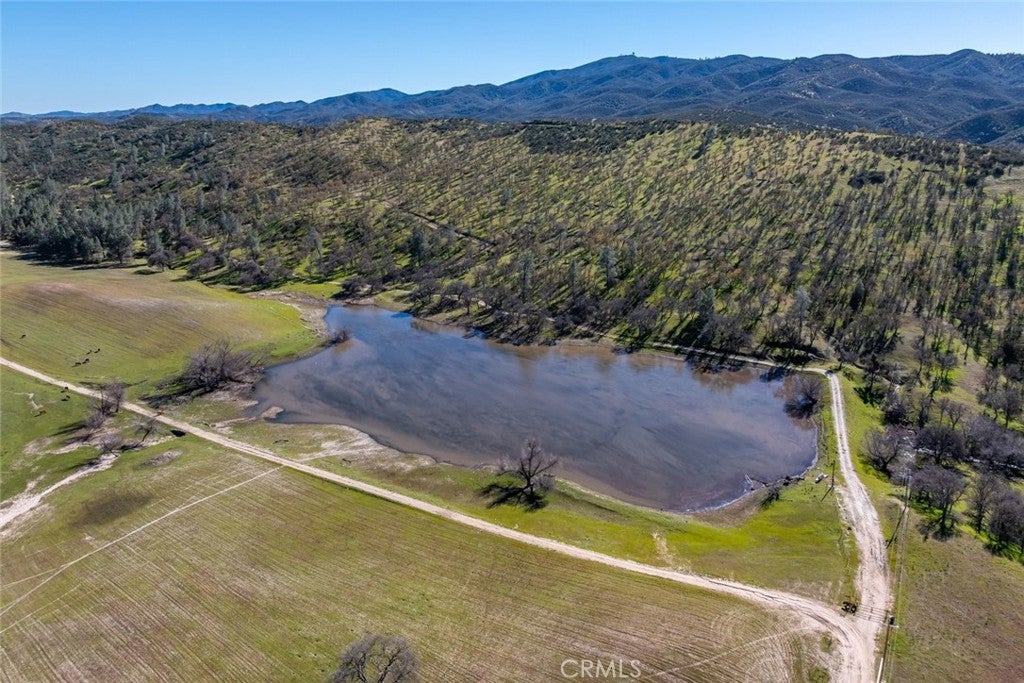 535 Calf Canyon Highway