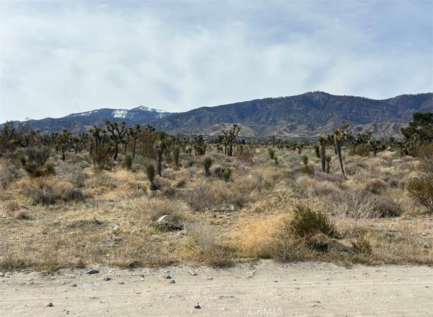 Looking for that right piece of Land to build your dream home? Search no more, this prime 2.4 acre lot awaits you. Close proximity to Oasis Rd. (Paved Rd.) and Hwy 138 this makes an excellent opportunity with its stunning views of the Mountains and Desert . Nearby town of Phelan offers shopping, dining and, with Wrightwood nearby, you can enjoy the year-round activities. Come take a look and see the possibilities!