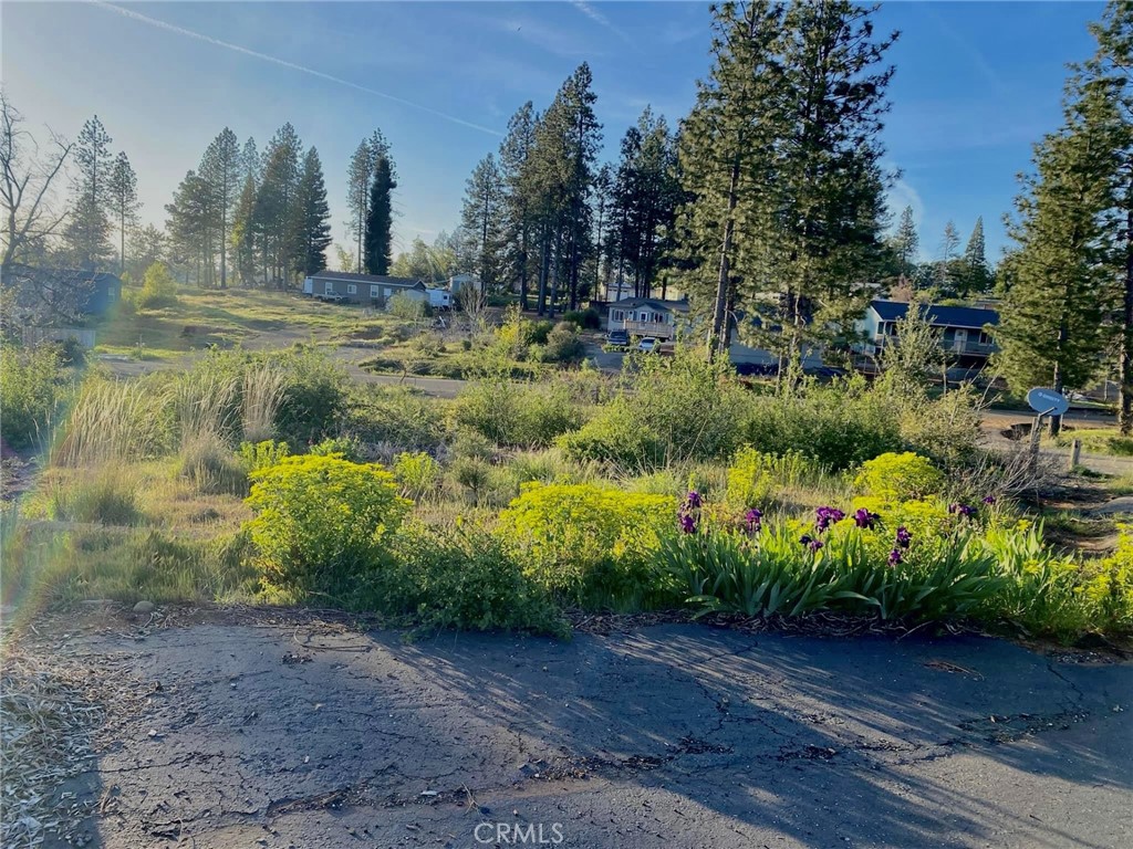 Tucked away on the outskirts of Paradise in Old Magalia (County zoning), this inviting lot sits at the end of a quiet cul-de-sac, just beyond a beautifully maintained PUD neighborhood with paved roads. The area is blossoming with many newer homes and growing families, making it a wonderful location to build your starter home or a peaceful retreat.
The lot is mostly level and previously hosted a 1,700+ sq. ft. home, offering a great footprint for future building. Surrounded by towering pines and native plants, with scenic canyon views just a short walk away, you’ll enjoy the perfect balance of a forest setting and the convenience of being only minutes from town.
With easy access to the Skyway for commuting and nearby local amenities, this property offers both comfort and practicality. Septic inspection will be required, and water service is available through Del Oro Water Company. Bring your vision and inspiration—this lot is ready for your next chapter!