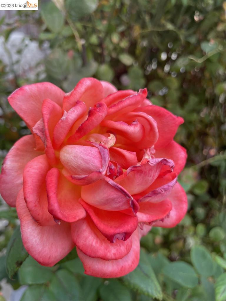 ANTIOCH - Residential