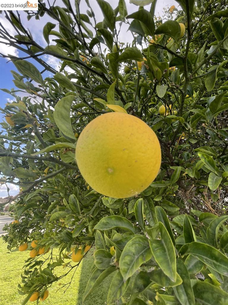 ANTIOCH - Residential