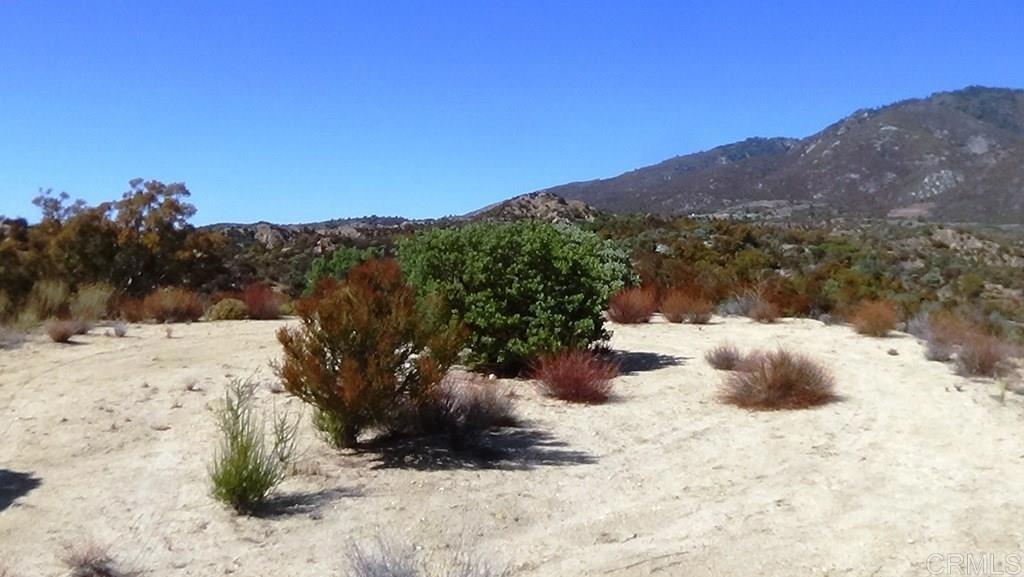 37245 Old Forest Road