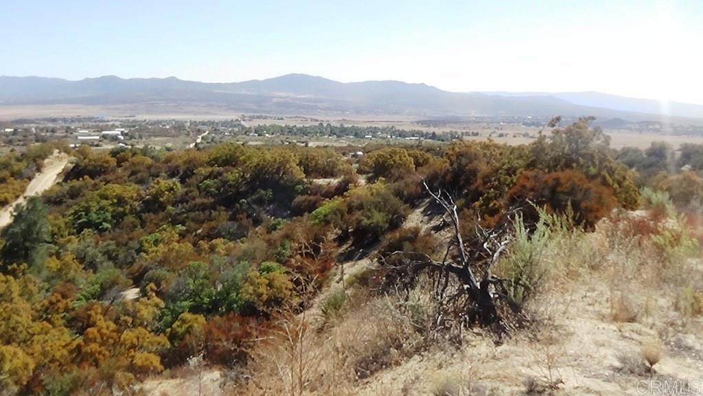 37245 Old Forest Road