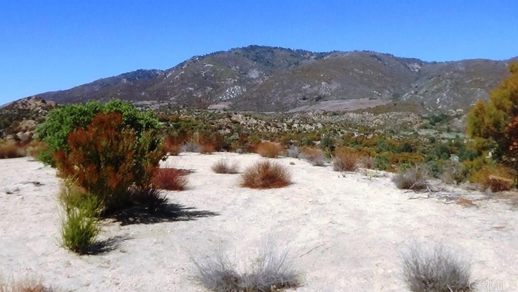 37245 Old Forest Road