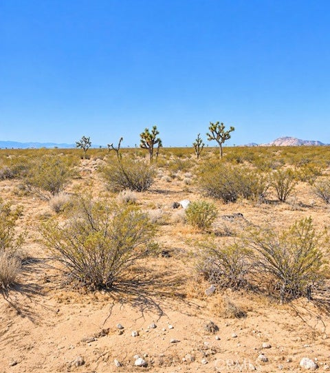 Photo of 0 California City Blvd., California City, CA 93505 (MLS # AR26214292)