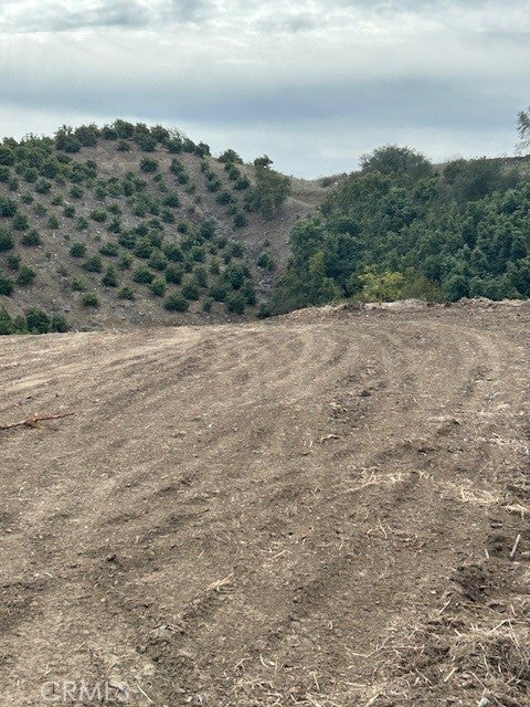 Tiny photo for 15 Camino Gatillo Road, Temecula, CA 92590 (MLS # SW26196269)