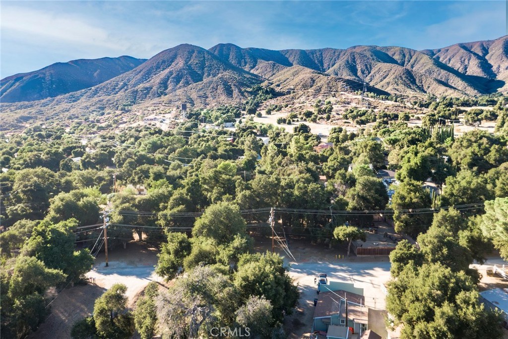 2 ADJACENT LOTS FOR SALE. WATER METER ON ONE LOT INCLUDED! Discover a rare opportunity in the serene community of Green Valley, just 20 miles northeast of Santa Clarita yet worlds apart in peace and beauty. Two parcels, each just under 5,000 sq ft, are being sold together—one equipped with a WATER METER for convenience. Together, they offer nearly 10,000 sq ft of usable land in a setting that blends small-town charm with big-sky vistas. Nestled in the Sierra Pelona Mountains, Green Valley is known for its rural character, scenic surroundings, and welcoming, close-knit community. Residents enjoy a slower pace of life, fresh mountain air, and starlit skies, while still being accessible to major shopping, dining, and freeways. This property provides a versatile canvas: build your dream retreat, a cozy cabin, or even explore a unique bed-and-breakfast concept in a truly one-of-a-kind setting. Adjacent to this offering, to the right (lots 002 and 004), is another pair of lots—also with a water meter—available separately, creating even more possibilities for the savvy buyer. Whether you envision a peaceful weekend escape or a full-time residence immersed in natural beauty, Green Valley offers the perfect backdrop. Don’t miss this chance to secure land with rare utility access in a community where opportunity and tranquility meet. Easy to drive by. Use the address across the street, 39520 Calle Escada, Green Valley, for your gps. The parcels are marked. Look for the orange paint with "019" and "021". You will also see the water meter cover on the ground. Already having a water meter makes all the difference as Green Valley County Water District has a moratorium on water meters at this time.