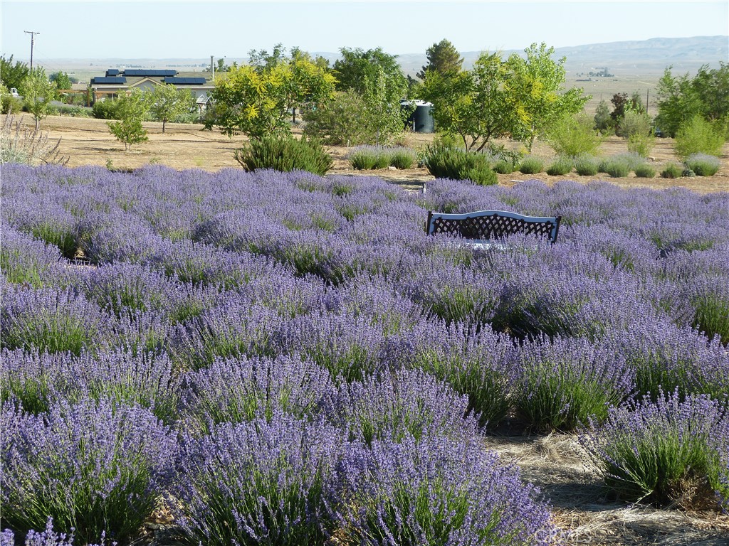 Carrizo Plains/California Valley(62) - Residential