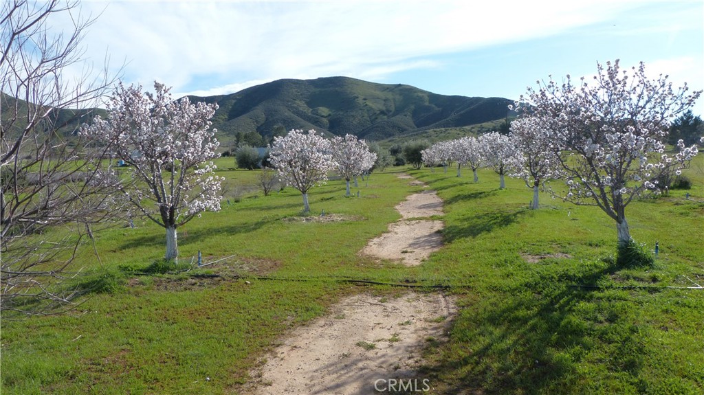Carrizo Plains/California Valley(62) - Residential
