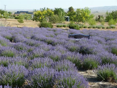 Tiny photo for 14451 Dorris Road, Santa Margarita, CA 93453 (MLS # NS25049507)