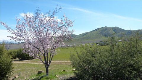 Tiny photo for 14451 Dorris Road, Santa Margarita, CA 93453 (MLS # NS25049507)