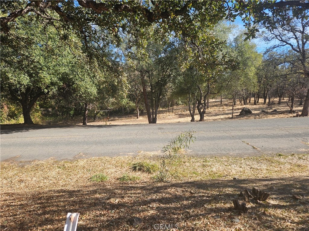 590 Lodgeview Drive