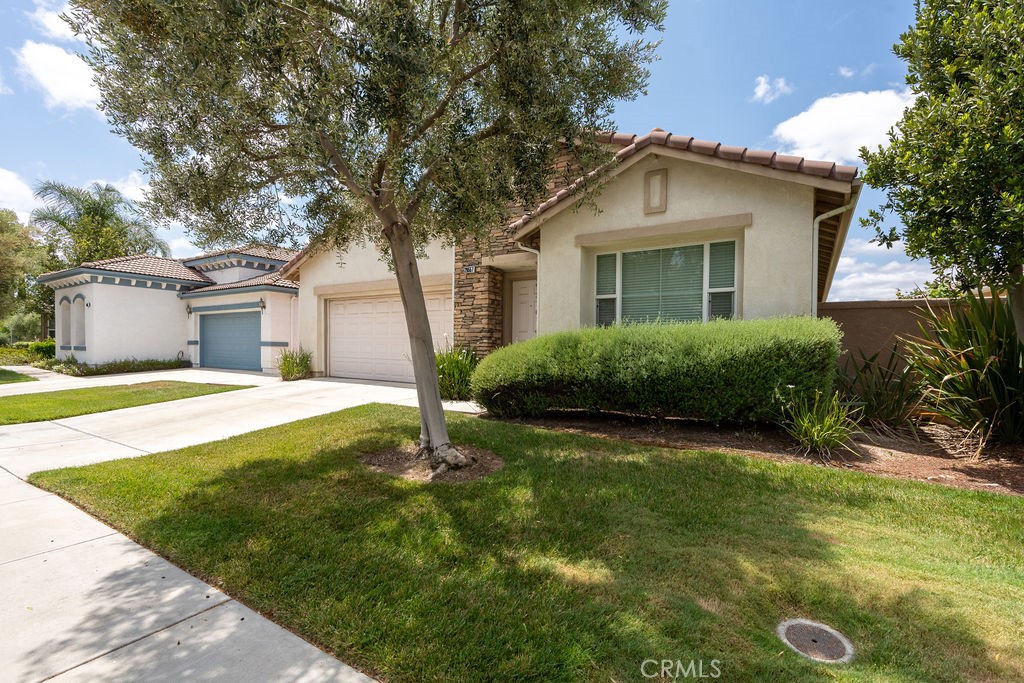 29557 Warmsprings Drive