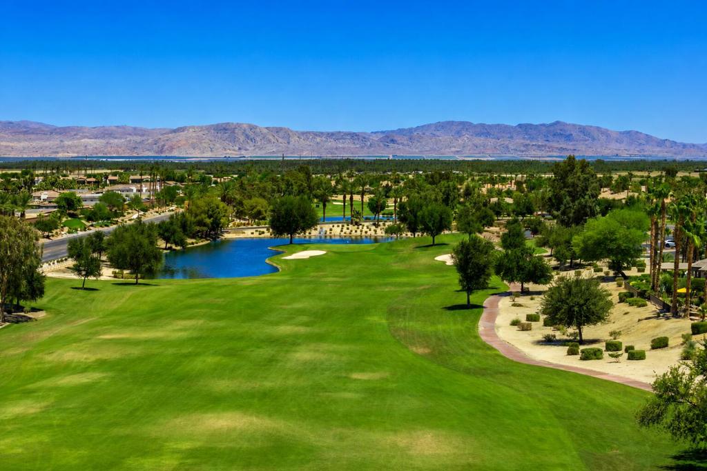 81206 Barrel Cactus Road