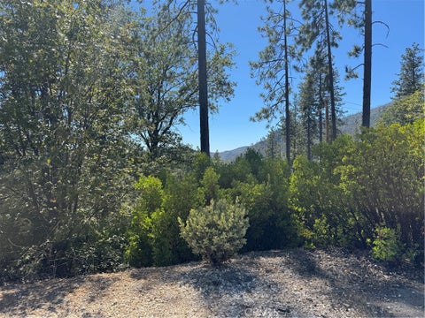 Photo of 11721 Gifford Springs Road, Cobb, CA 95426 (MLS # LC26188887)