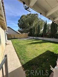 37510 Conifer