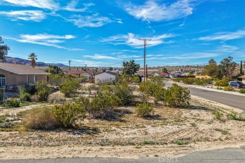 Photo of 71963 Cactus Drive, 29 Palms, CA 92277 (MLS # JT26045496)