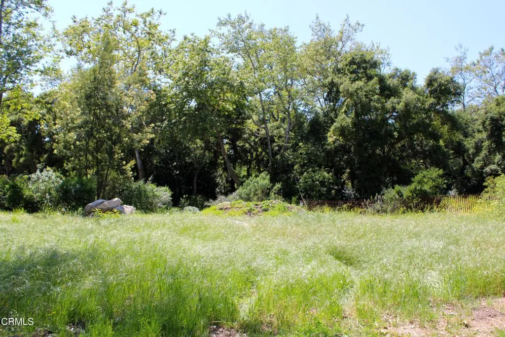 Montecito, California 93108, United States, ,Land,Active,107324