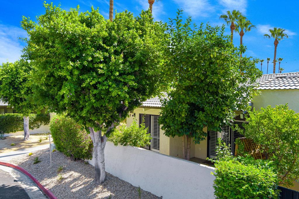 1150 E Palm Canyon Drive 37
