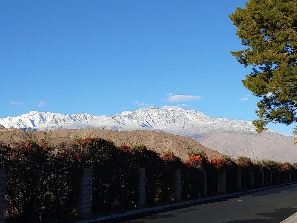 Los Cocos - Residential Lease