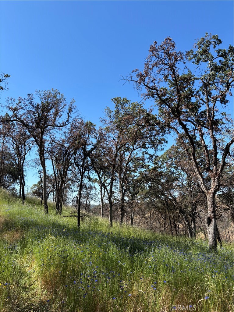 5358 Mariposa Heights Road