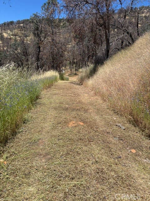 5358 Mariposa Heights Road