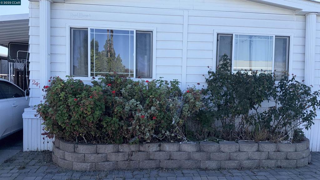 Other - Manufactured In Park