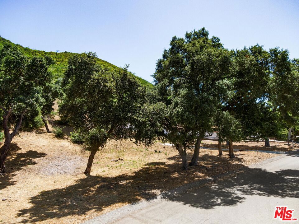 31332 Birdella Road
