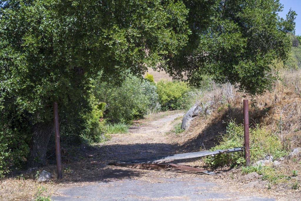 31801 Wrightwood Road