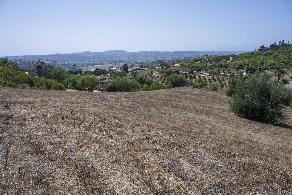 31801 Wrightwood Road