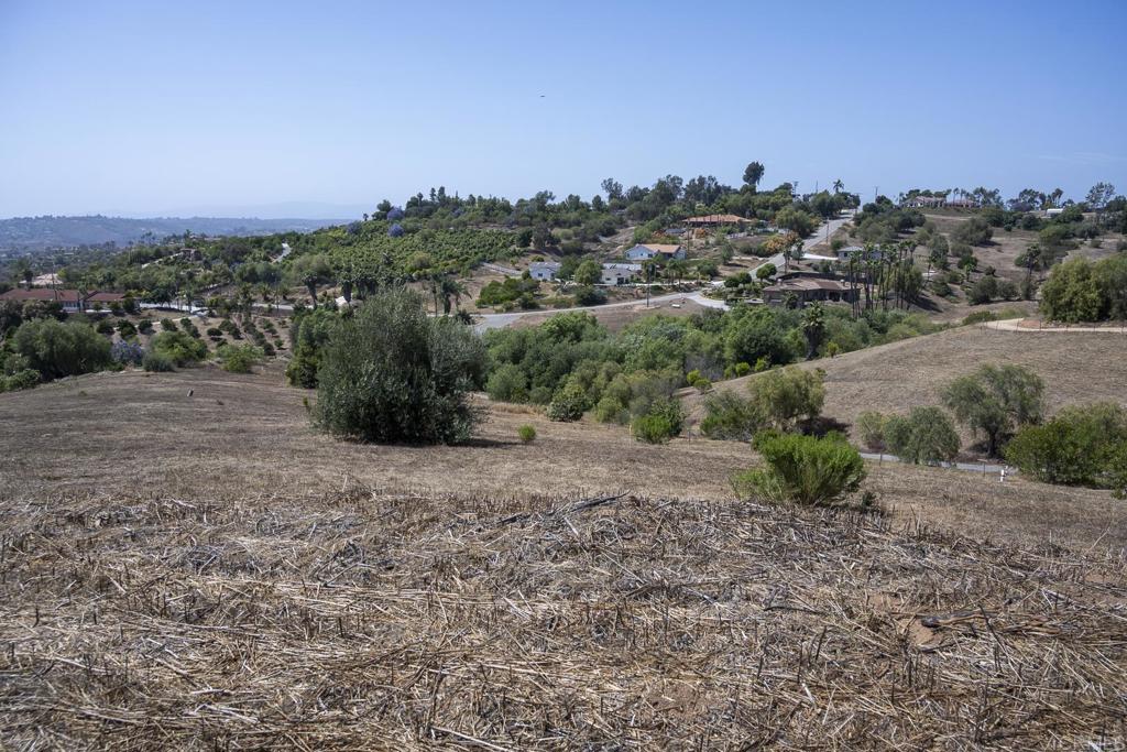 31801 Wrightwood Road
