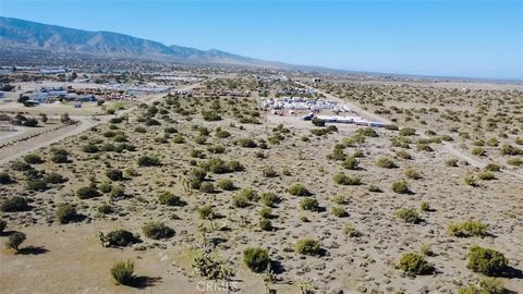 2975 Yucca Terrace Pinon Hills CA 92372