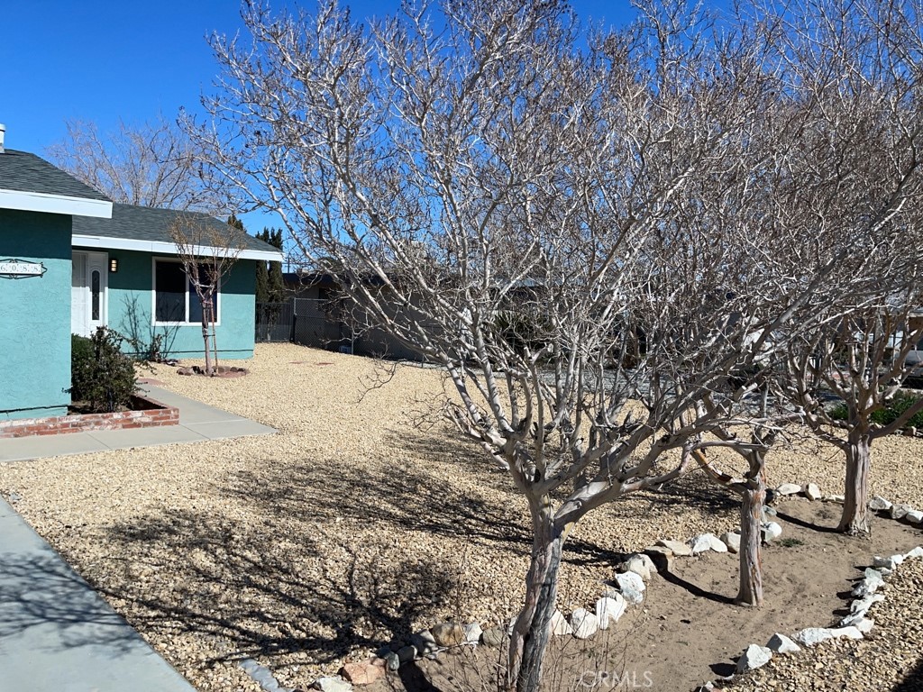 16088 Chestnut Street