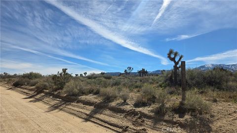 Photo of 0 Fort Tejon Rd vicinity 181st St E, Llano, CA 93544 (MLS # SR26041221)