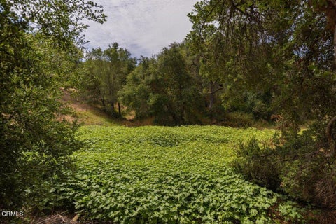 Tiny photo for 1410 Baldwin Road, Ojai, CA 93023 (MLS # V1-37714)